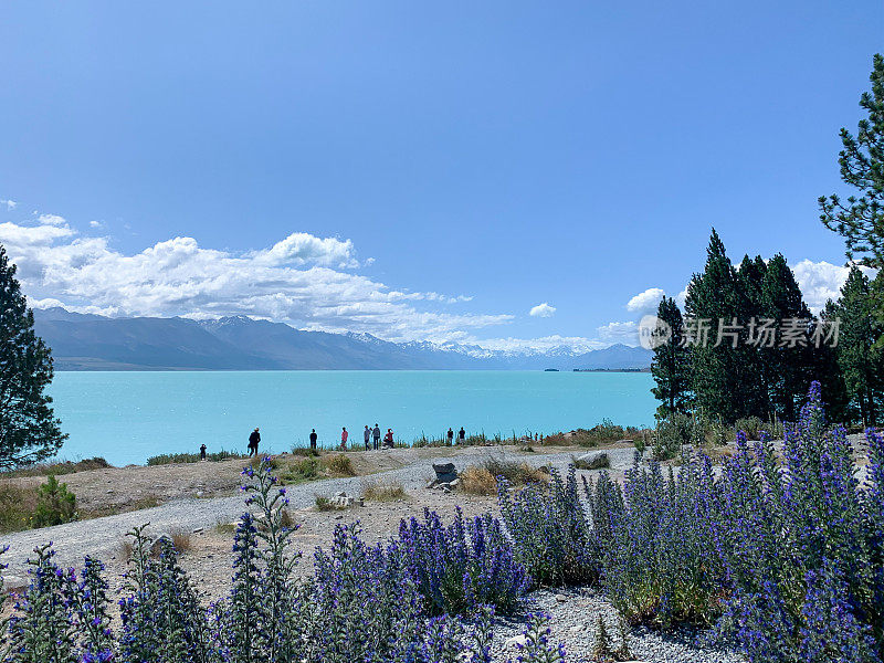 Mount Cook Road (State Highway 80)和Lake Pukaki view, Twizel, South Island, New Zealand